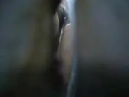 წვრილფეხა ქერა ახრჩობს მასიურ ჯოხს და მიჯაჭვულია მასზე მჭიდრო ალუბლით
