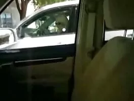 მორგებული წითური მომხიბვლელი მოზარდი ყოველთვის მზად არის დააკმაყოფილოს თავისი მამაკაცი